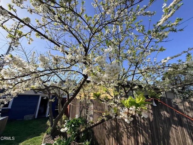 147 N McPherson Street, Fort Bragg, CA 95437