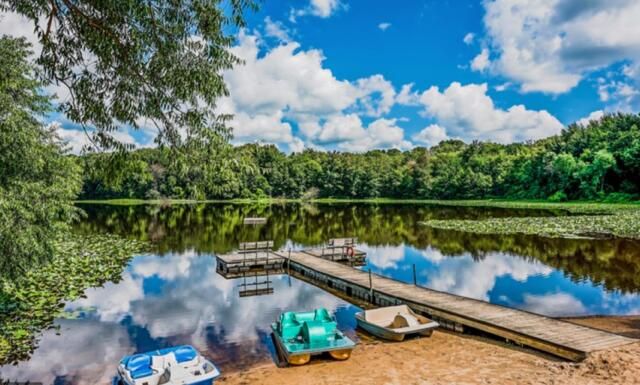 46 Camp Madron Road 46, Buchanan Twp, MI 49107