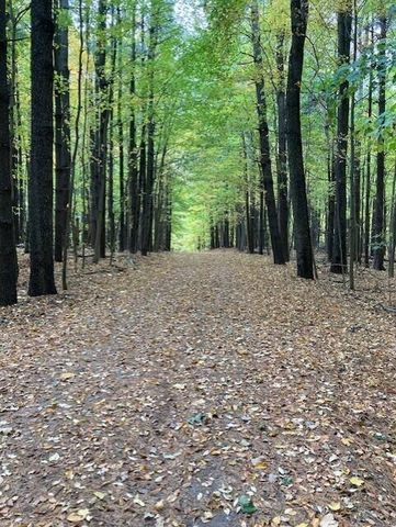 46 Camp Madron Road 46, Buchanan Twp, MI 49107