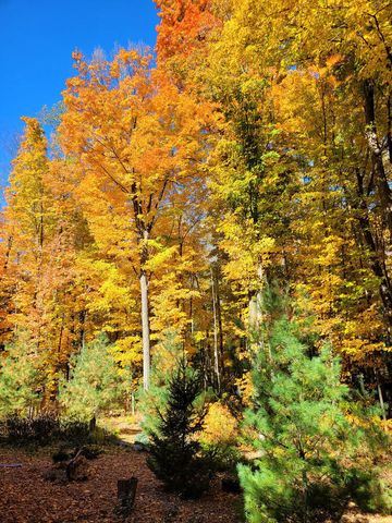 46 Camp Madron Road 46, Buchanan Twp, MI 49107