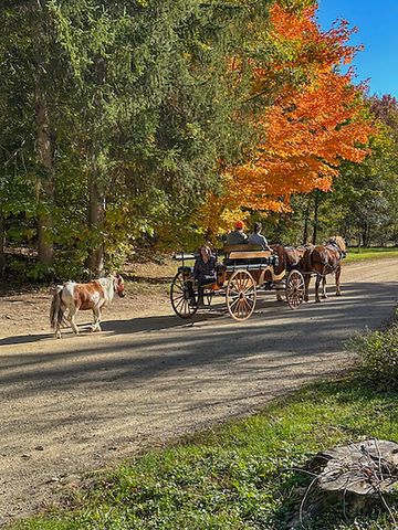 46 Camp Madron Road 46, Buchanan Twp, MI 49107