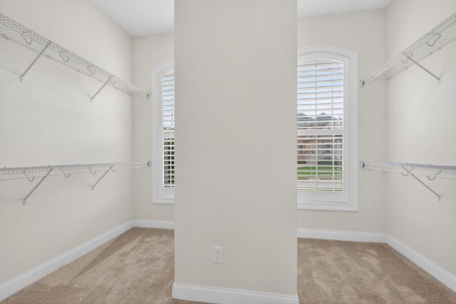 2331 Coroneo Lane, Lexington, KY 40509