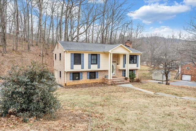 411 Pin Oak DR, Blue Ridge, VA 24064