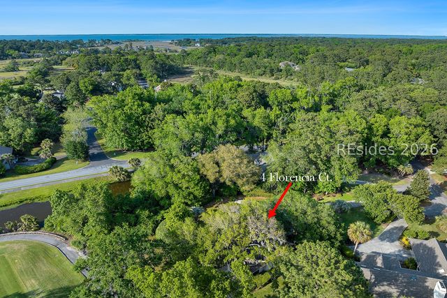4 Florencia Ct, Hilton Head Island, SC 29926