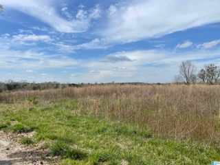 633 B COUNTY ROAD 83, Clanton, AL 35045