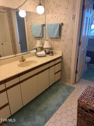 816 Wedgewood Road, Johnson City, TN 37604