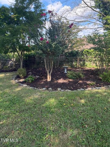 816 Wedgewood Road, Johnson City, TN 37604
