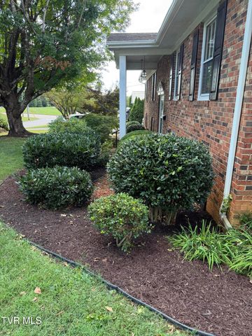 816 Wedgewood Road, Johnson City, TN 37604