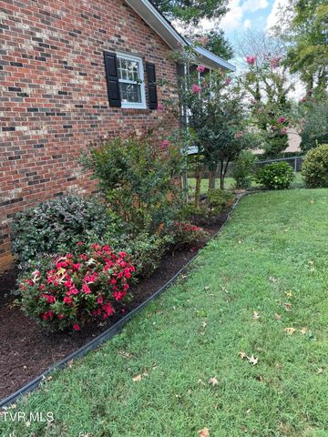 816 Wedgewood Road, Johnson City, TN 37604