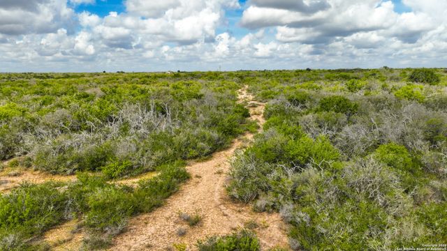 12937 FM 743, Kenedy, TX 78119