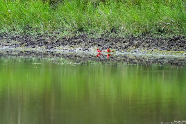 12937 FM 743, Kenedy, TX 78119