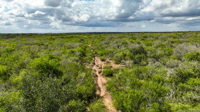 12937 FM 743, Kenedy, TX 78119