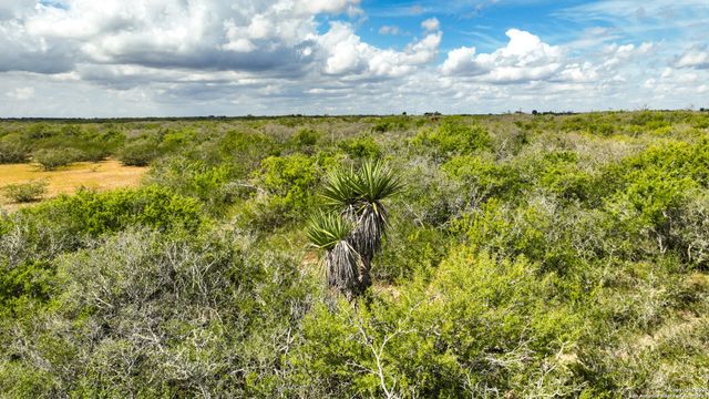 12937 FM 743, Kenedy, TX 78119