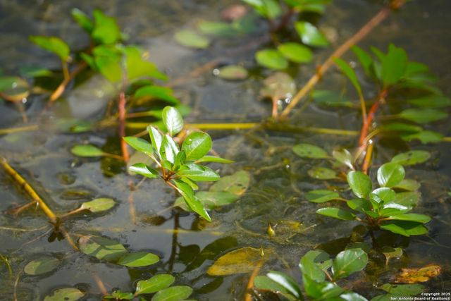 12937 FM 743, Kenedy, TX 78119