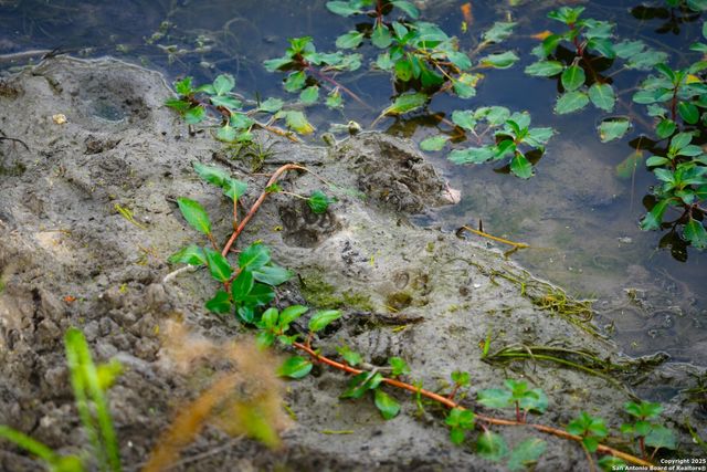 12937 FM 743, Kenedy, TX 78119