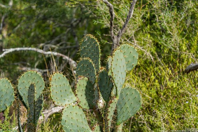 12937 FM 743, Kenedy, TX 78119