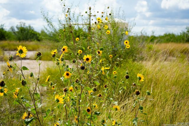 12937 FM 743, Kenedy, TX 78119