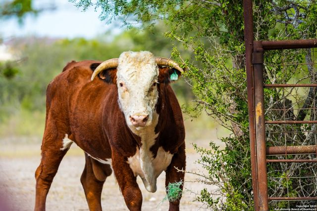 12937 FM 743, Kenedy, TX 78119