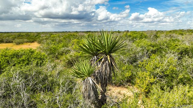 12937 FM 743, Kenedy, TX 78119