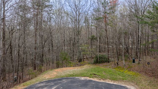 56 Angleblade Road, Landrum, SC 29356