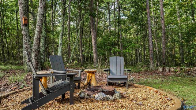 1600 County Road 103, Mentone, AL 35984