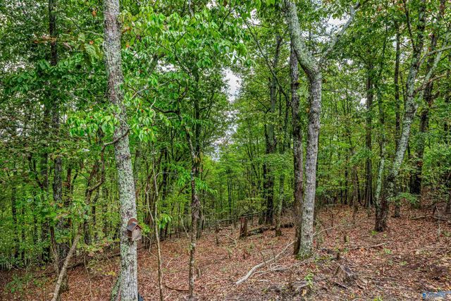 1600 County Road 103, Mentone, AL 35984