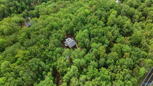 1600 County Road 103, Mentone, AL 35984