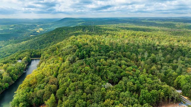 1600 County Road 103, Mentone, AL 35984