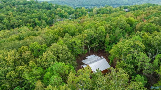 1600 County Road 103, Mentone, AL 35984