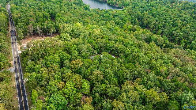 1600 County Road 103, Mentone, AL 35984