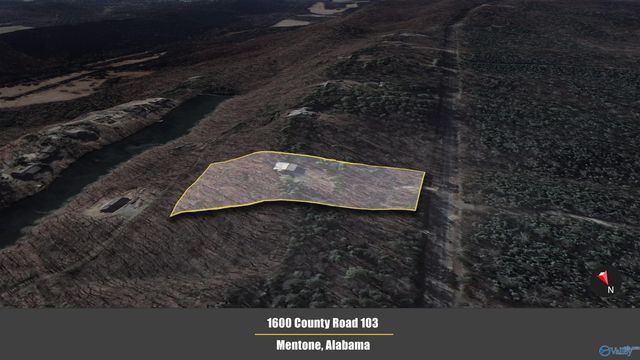 1600 County Road 103, Mentone, AL 35984