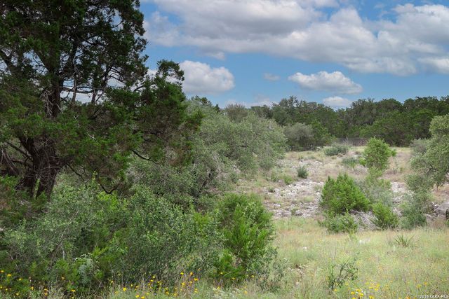 4521 Laurie Michelle Road, San Antonio, TX 78261