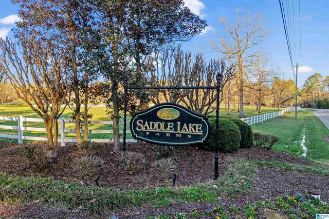 236 THOROUGHBRED LANE, Alabaster, AL 35007