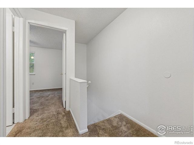 215 Chestnut Street A2, Windsor, CO 80550