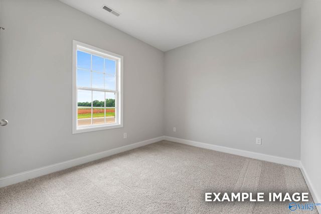 132 Bella May Lane, New Market, AL 35761