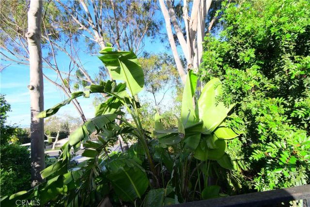 3249 Whiffletree Lane, Torrance, CA 90505