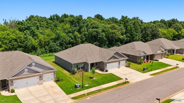 25129 Addlestone Drive, Athens, AL 35613