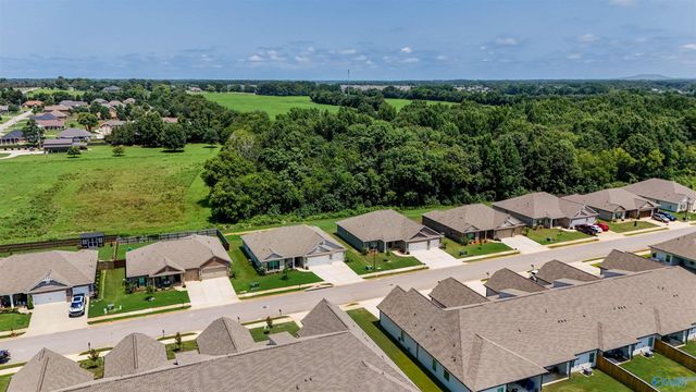 25129 Addlestone Drive, Athens, AL 35613