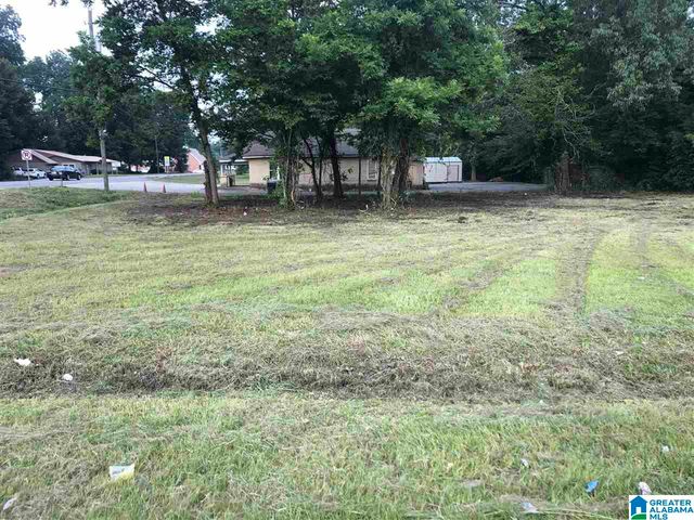0 16TH STREET, Calera, AL 35040