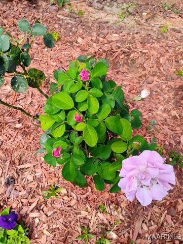 1127 Rosedale Drive, Montgomery, AL 36107