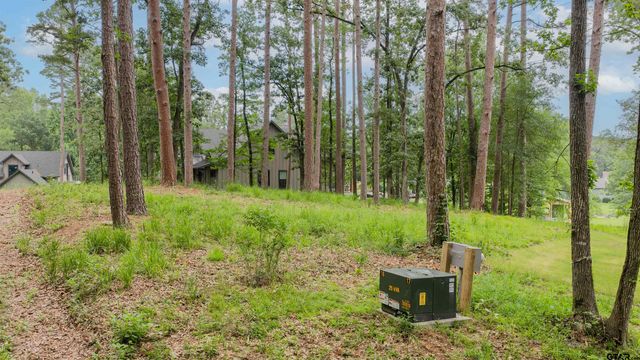 LOT 17 Naus Drive, Winnsboro, TX 75494