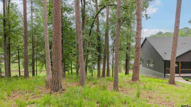 LOT 17 Naus Drive, Winnsboro, TX 75494