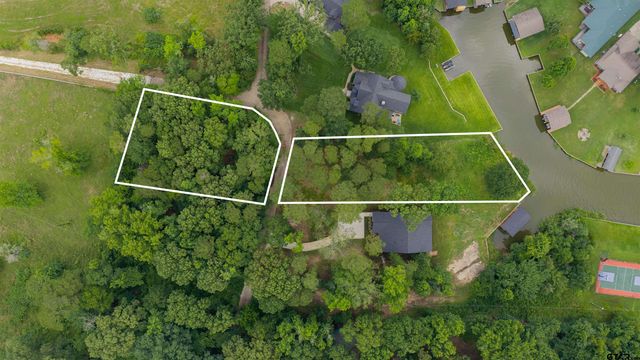 LOT 17 Naus Drive, Winnsboro, TX 75494