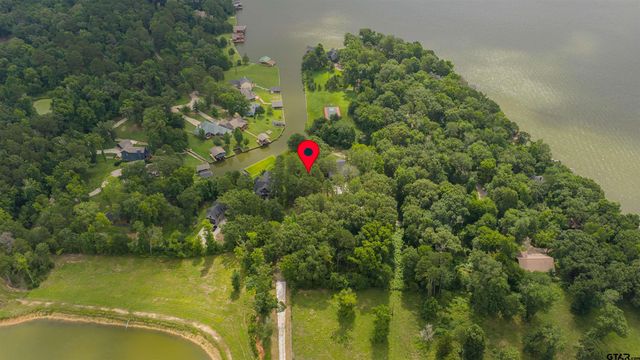 LOT 17 Naus Drive, Winnsboro, TX 75494
