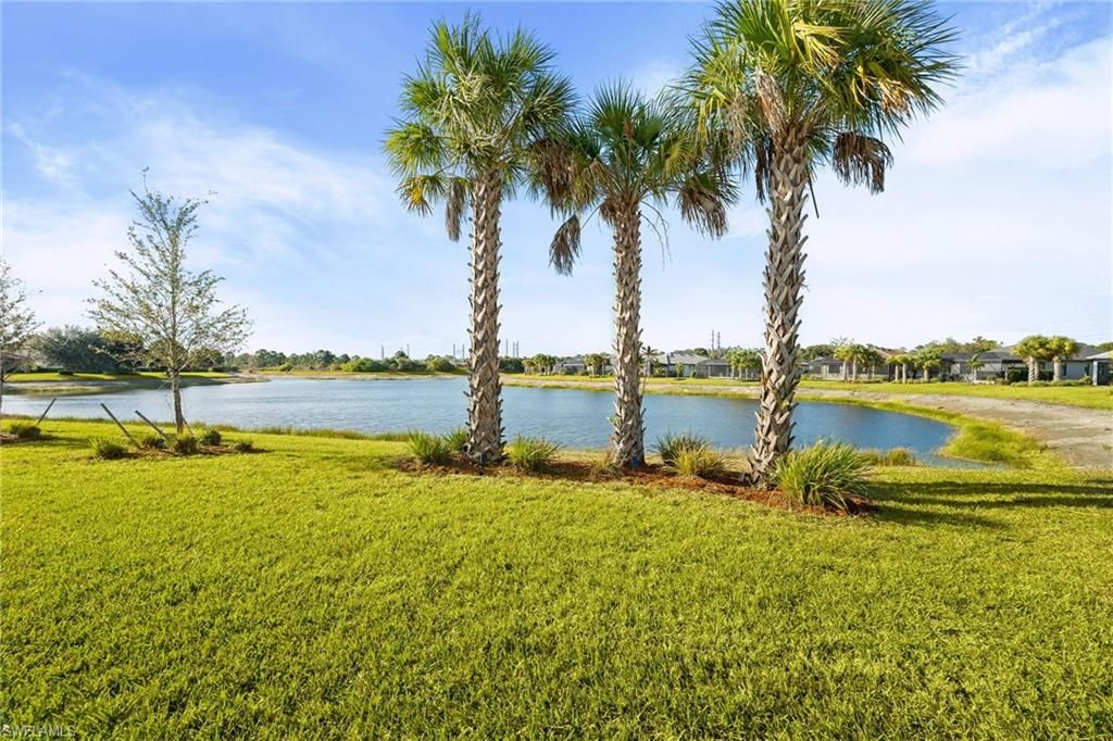 17039 Oakstead DR, ALVA, FL 33920 — photo 5