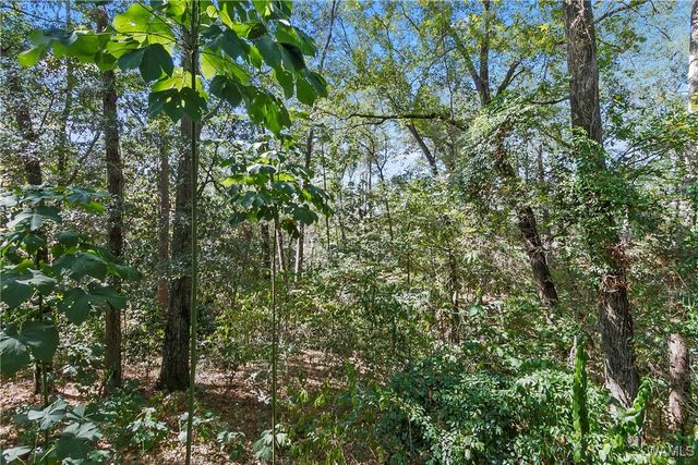 3904 Blackberry, Northport, AL 35473