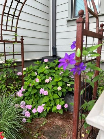 851 River Gorge Drive, Chattanooga, TN 37419