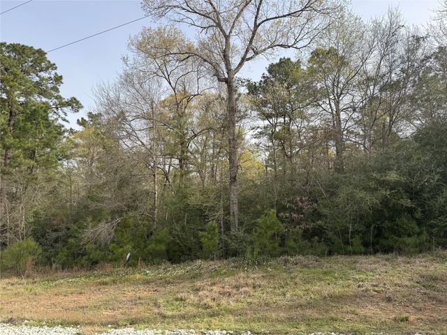 4b-6-223 Red Hawk Road, Huntsville, TX 77340