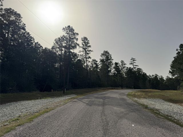 4b-6-223 Red Hawk Road, Huntsville, TX 77340