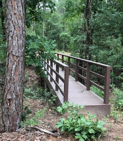 4b-6-223 Red Hawk Road, Huntsville, TX 77340